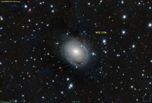 NGC_2196_PanS.jpg